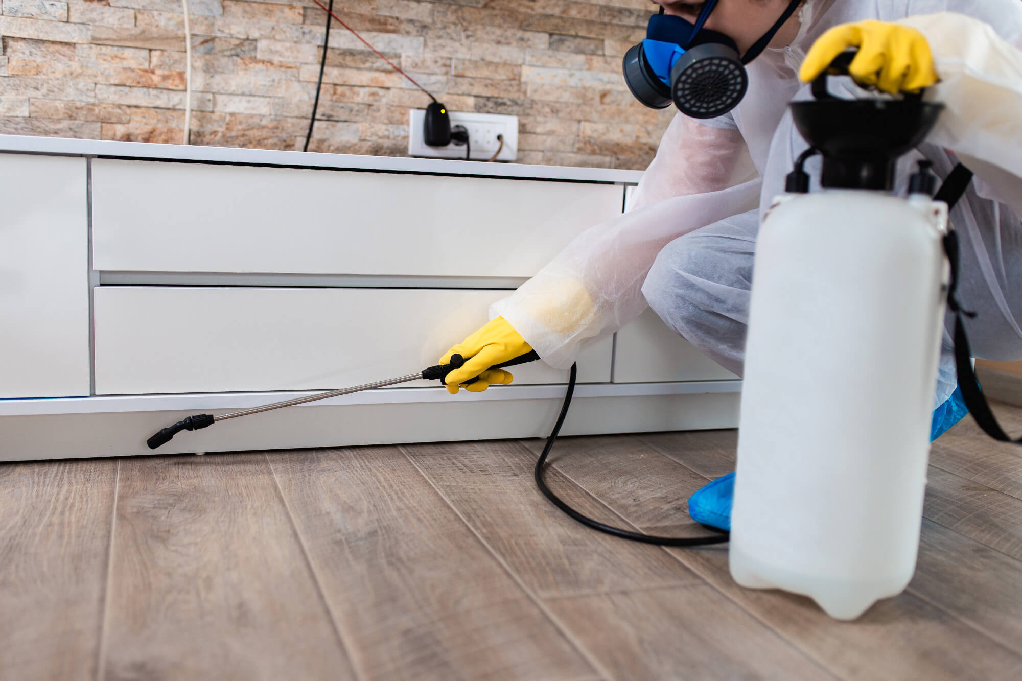 Дератизация